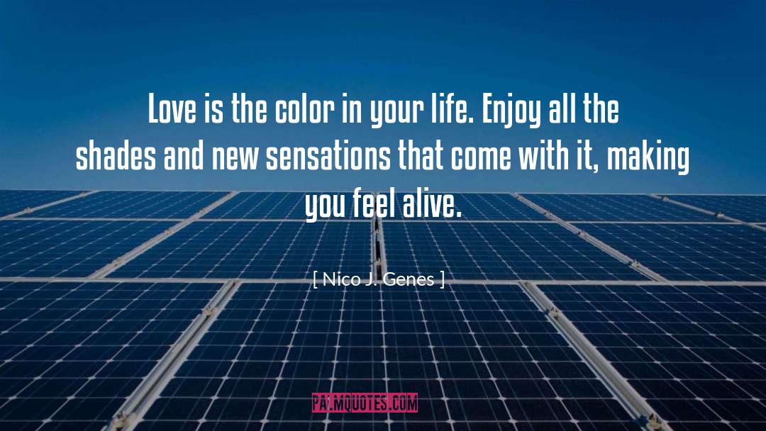Nico J. Genes Quotes: Love is the color in