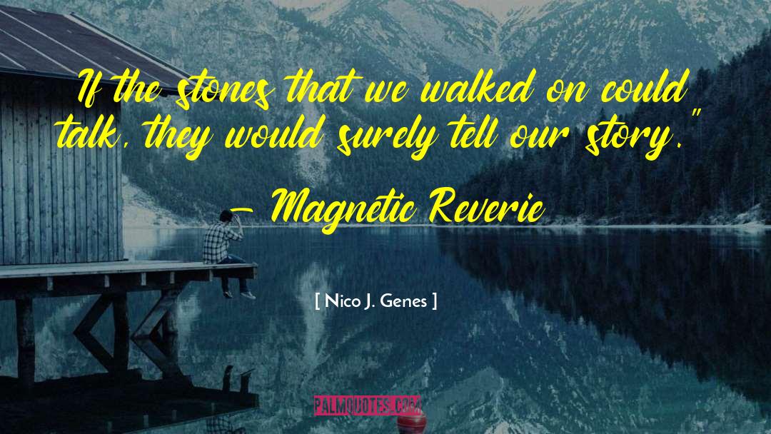 Nico J. Genes Quotes: If the stones that we