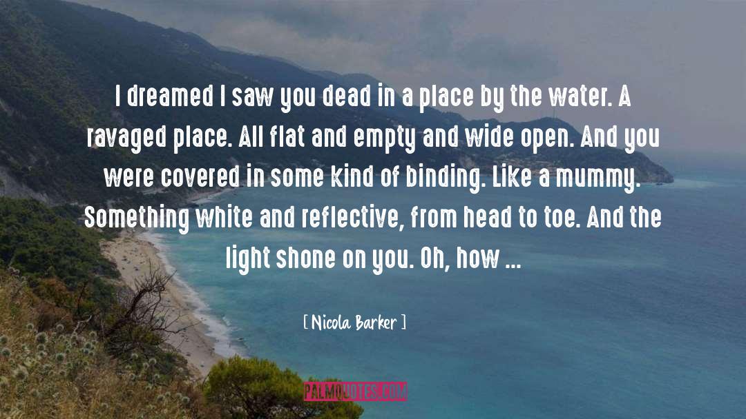 Nicola Barker Quotes: I dreamed I saw you
