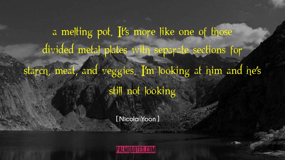 Nicola Yoon Quotes: a melting pot. It's more