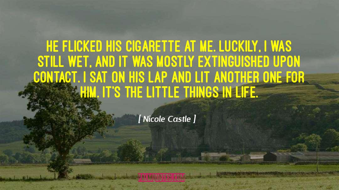 Nicole Castle Quotes: He flicked his cigarette at
