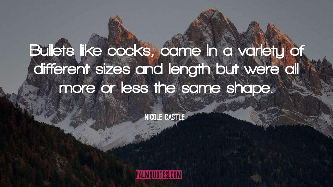 Nicole Castle Quotes: Bullets like cocks, came in