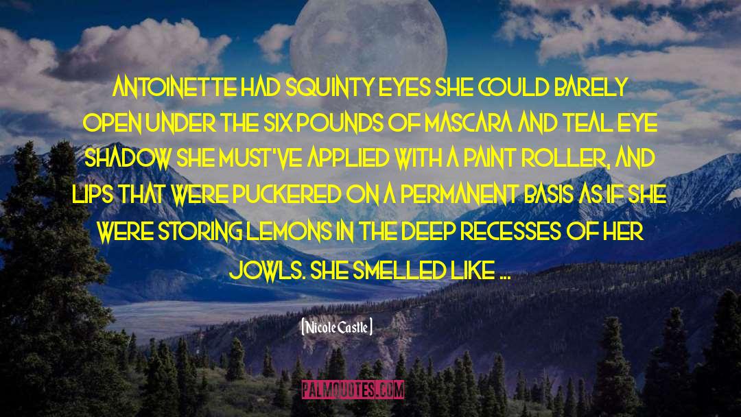 Nicole Castle Quotes: Antoinette had squinty eyes she
