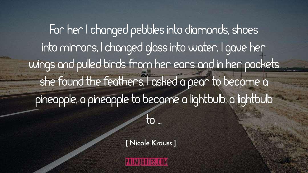 Nicole Krauss Quotes: For her I changed pebbles
