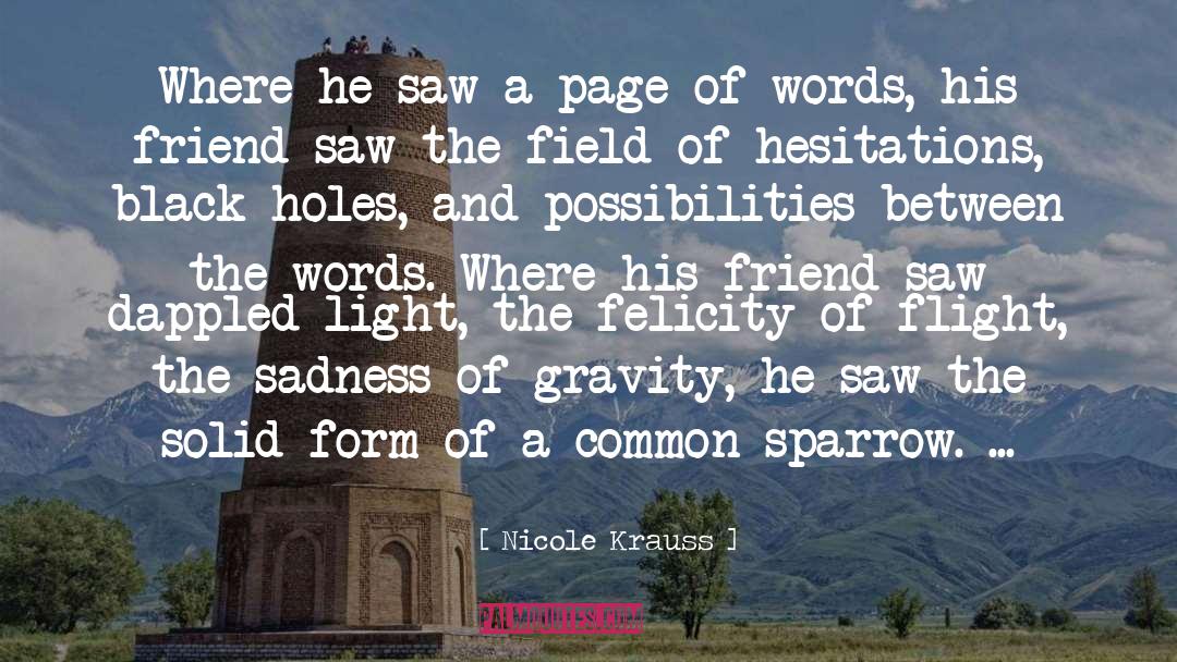 Nicole Krauss Quotes: Where he saw a page