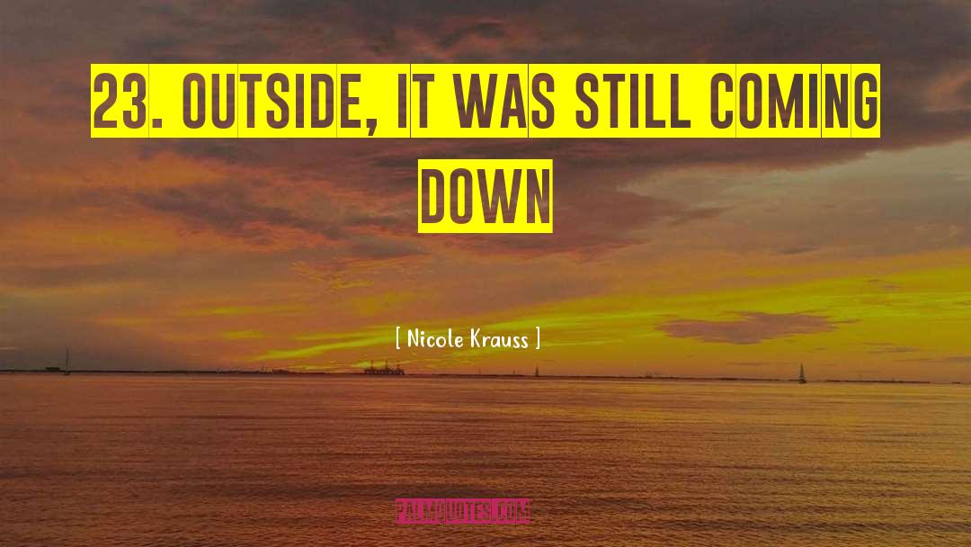 Nicole Krauss Quotes: 23. OUTSIDE, IT WAS STILL