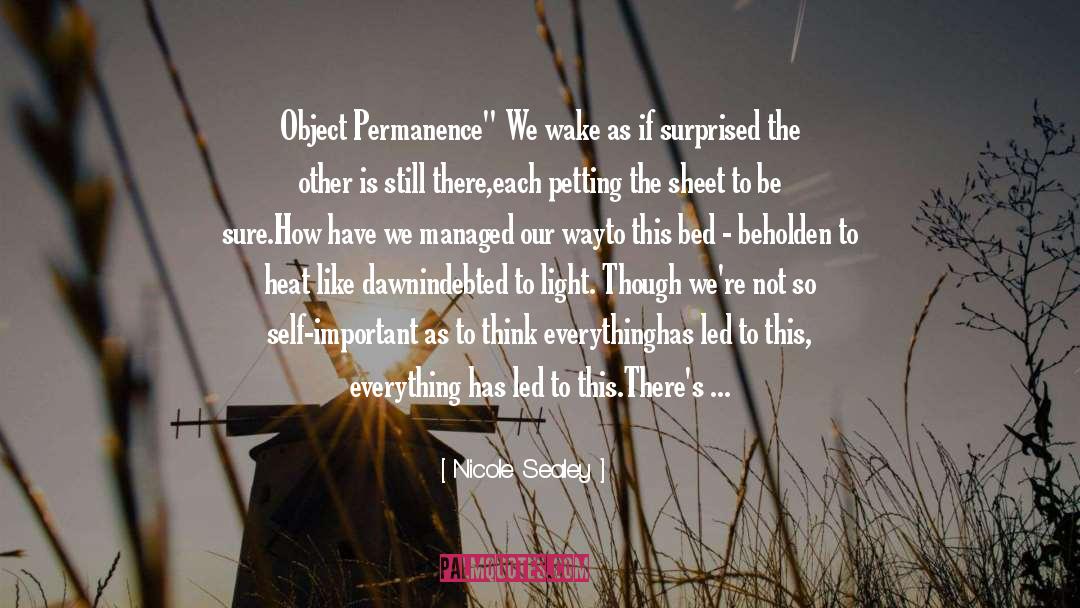 Nicole Sealey Quotes: Object Permanence