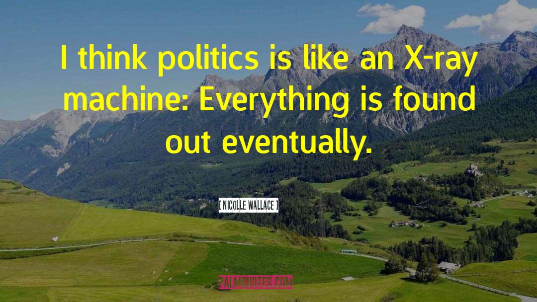 Nicolle Wallace Quotes: I think politics is like