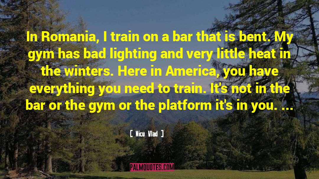 Nicu Vlad Quotes: In Romania, I train on