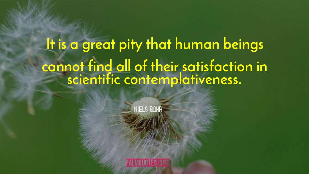 Niels Bohr Quotes: It is a great pity