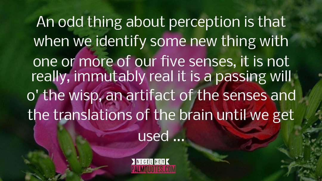 Nigel Hey Quotes: An odd thing about perception