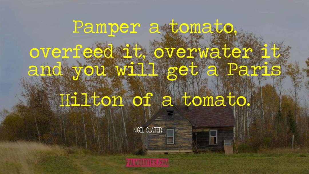 Nigel Slater Quotes: Pamper a tomato, overfeed it,