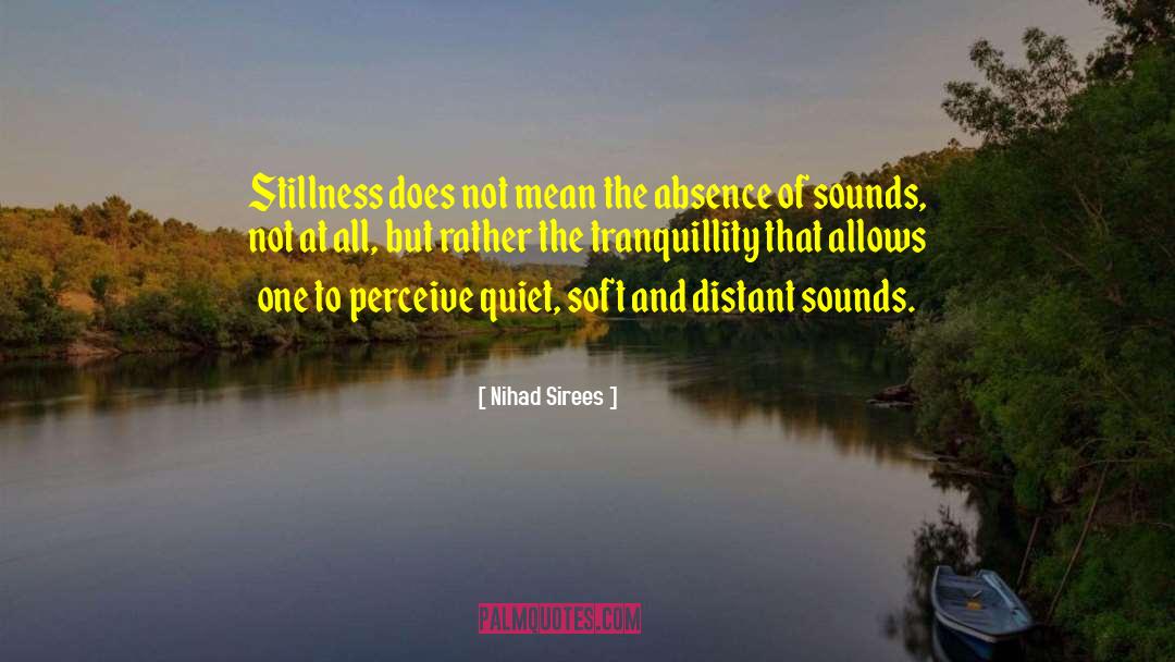 Nihad Sirees Quotes: Stillness does not mean the