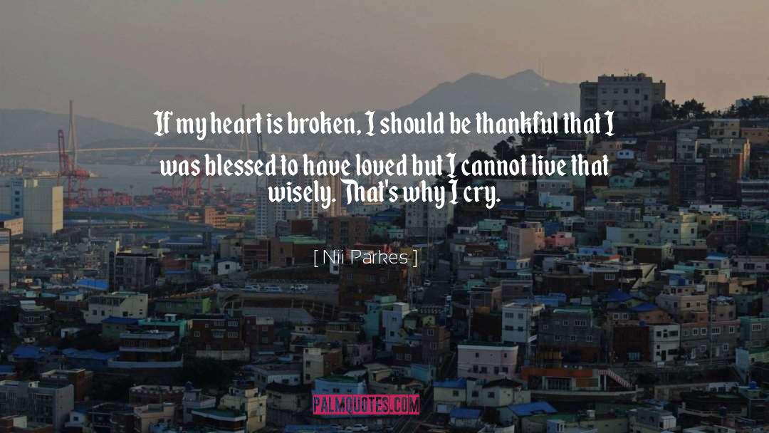 Nii Parkes Quotes: If my heart is broken,