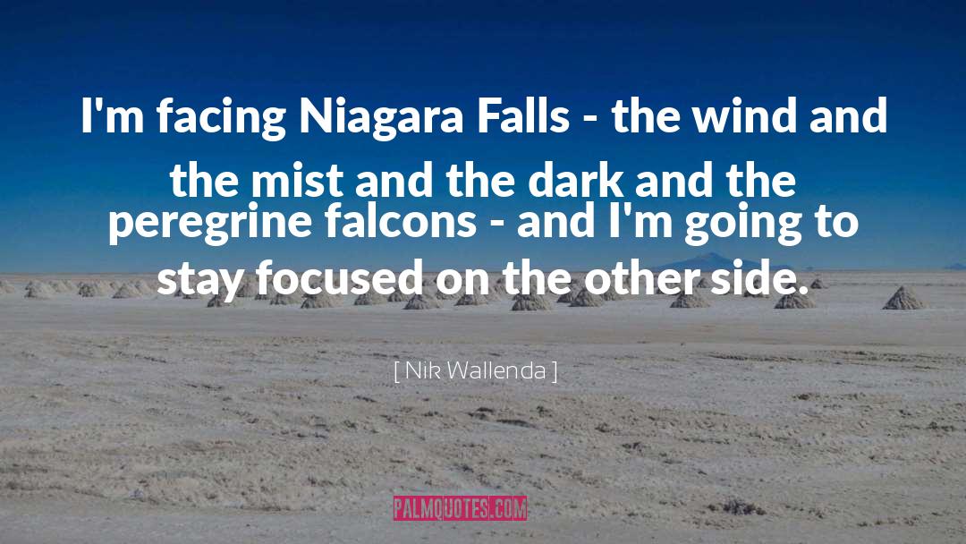 Nik Wallenda Quotes: I'm facing Niagara Falls -