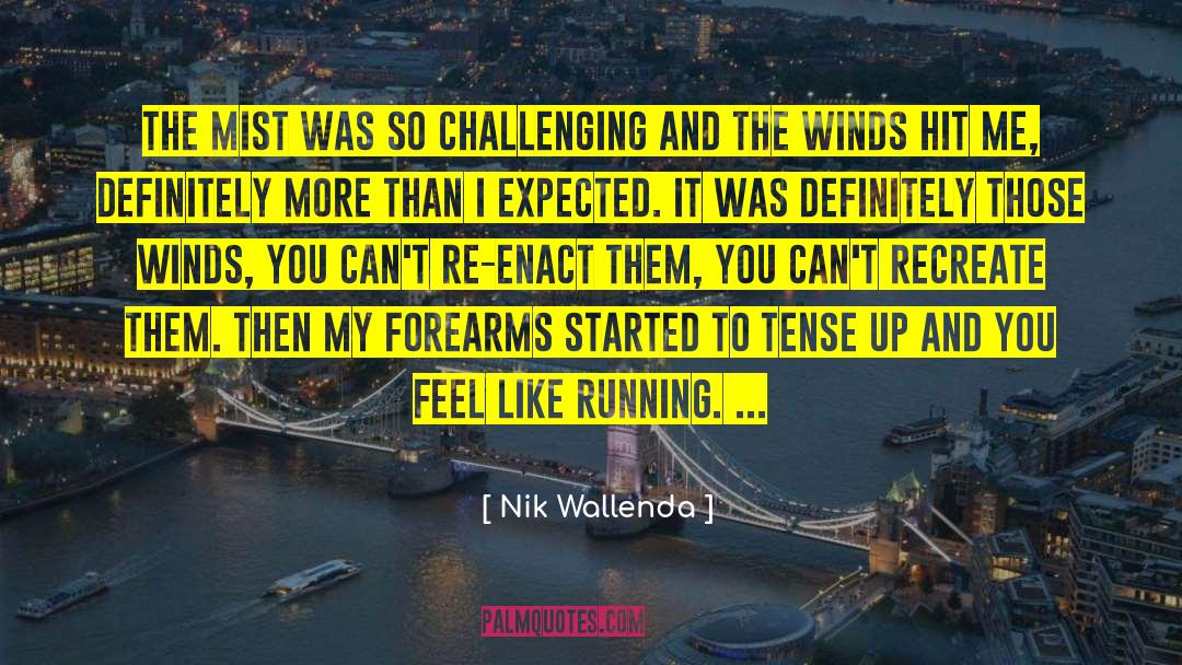 Nik Wallenda Quotes: The mist was so challenging