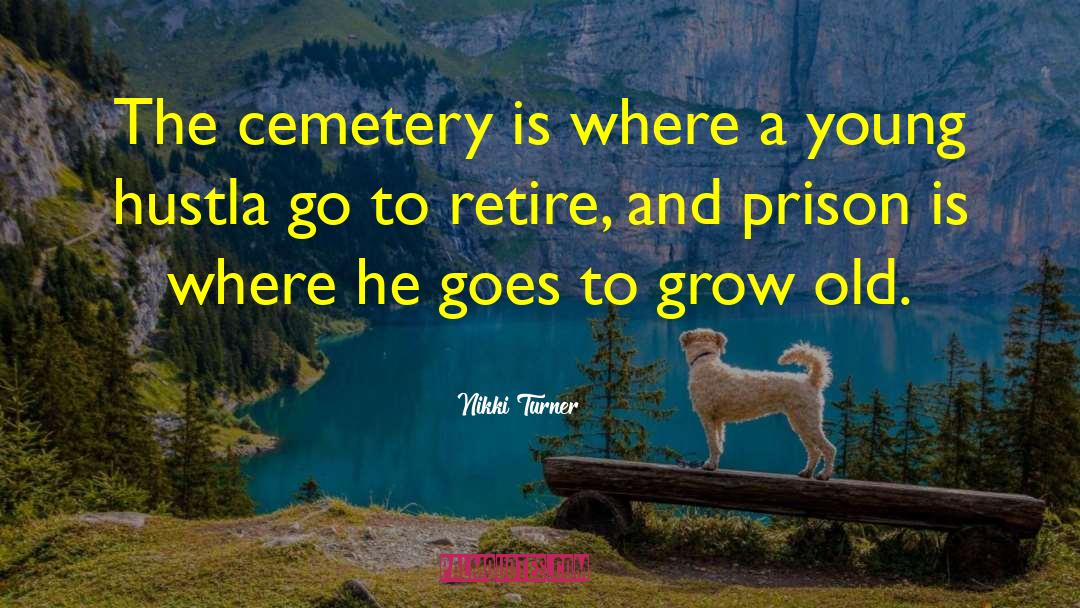 Nikki Turner Quotes: The cemetery is where a