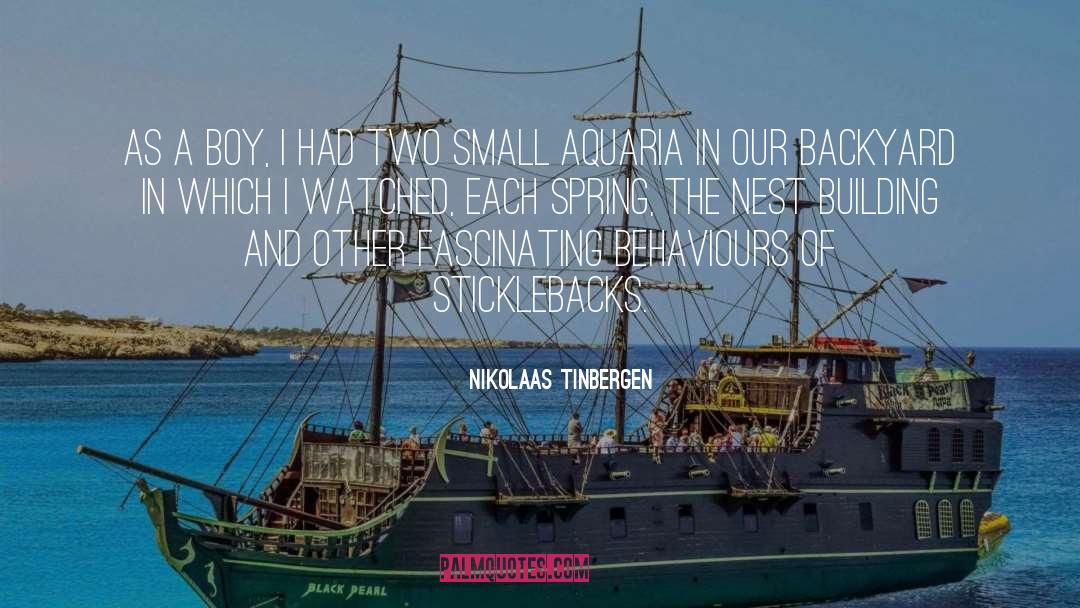 Nikolaas Tinbergen Quotes: As a boy, I had
