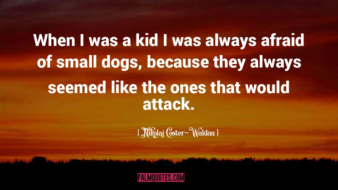 Nikolaj Coster-Waldau Quotes: When I was a kid