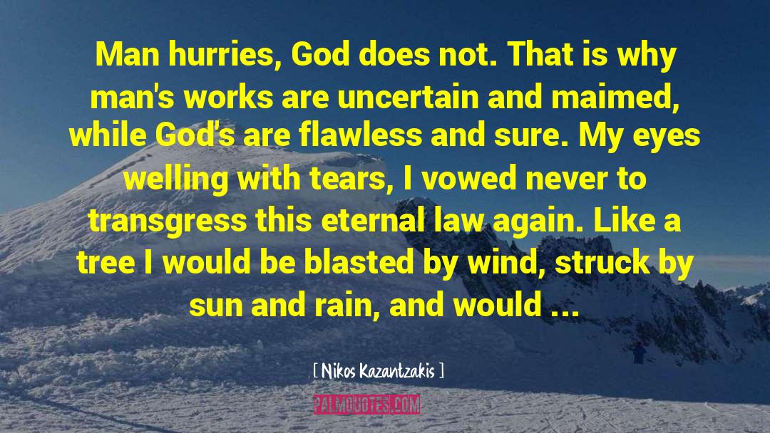 Nikos Kazantzakis Quotes: Man hurries, God does not.