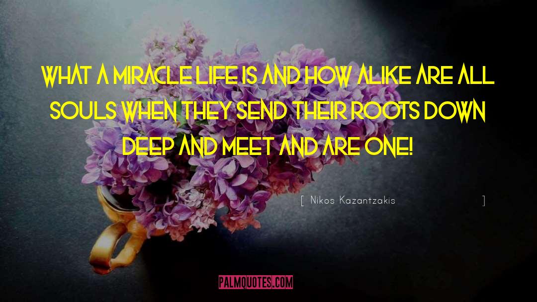 Nikos Kazantzakis Quotes: What a miracle life is