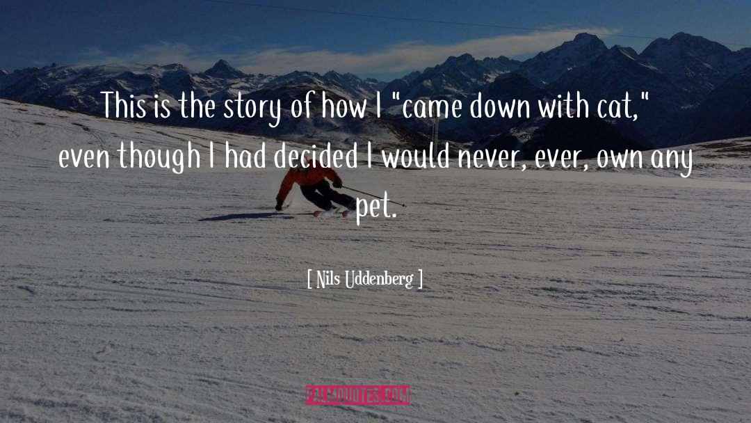 Nils Uddenberg Quotes: This is the story of