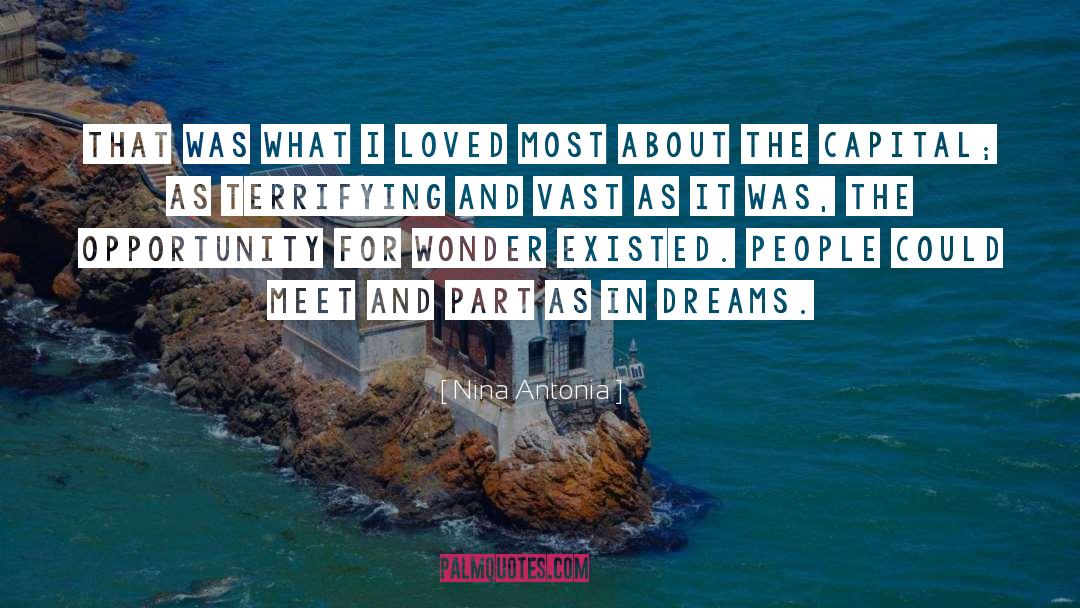 Nina Antonia Quotes: That was what I loved