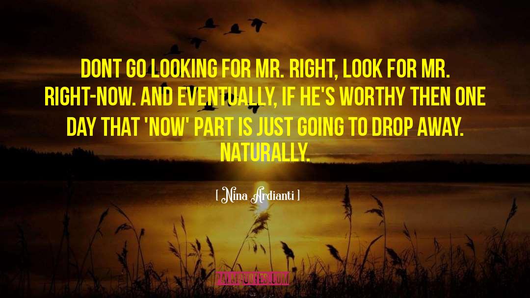 Nina Ardianti Quotes: Dont go looking for Mr.