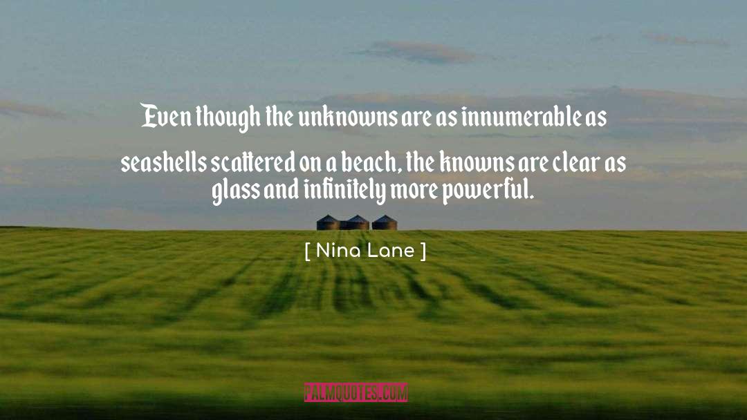 Nina Lane Quotes: Even though the unknowns are