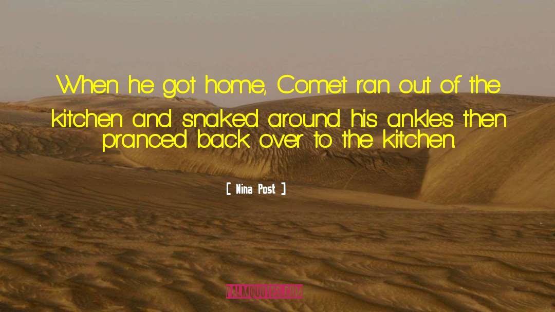 Nina Post Quotes: When he got home, Comet