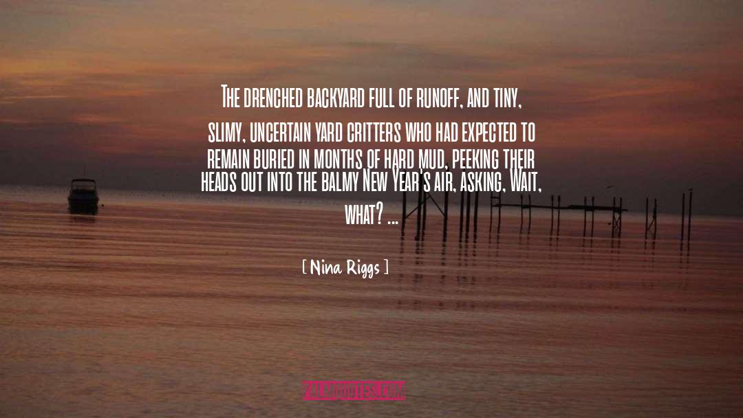 Nina Riggs Quotes: The drenched backyard full of