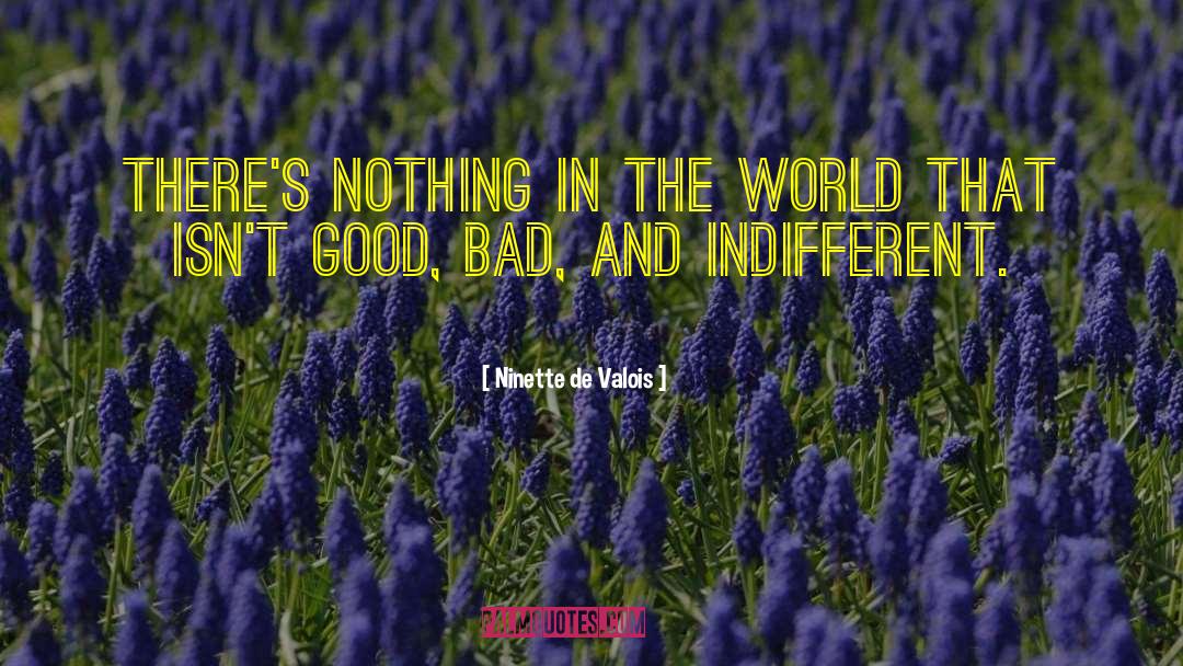 Ninette De Valois Quotes: There's nothing in the world