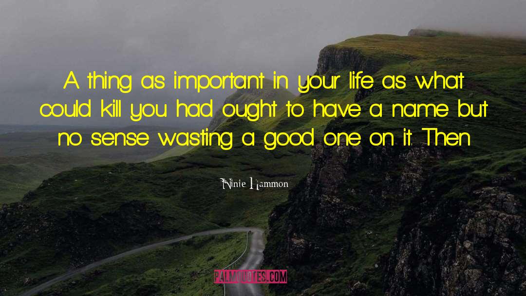 Ninie Hammon Quotes: A thing as important in