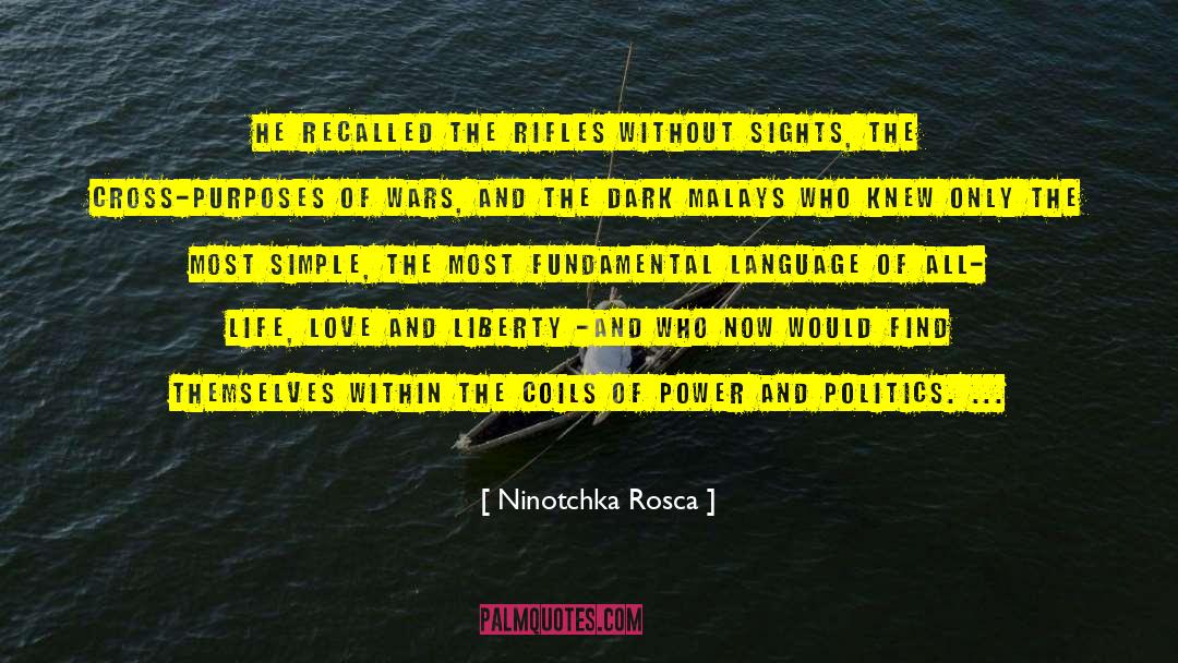 Ninotchka Rosca Quotes: He recalled the rifles without