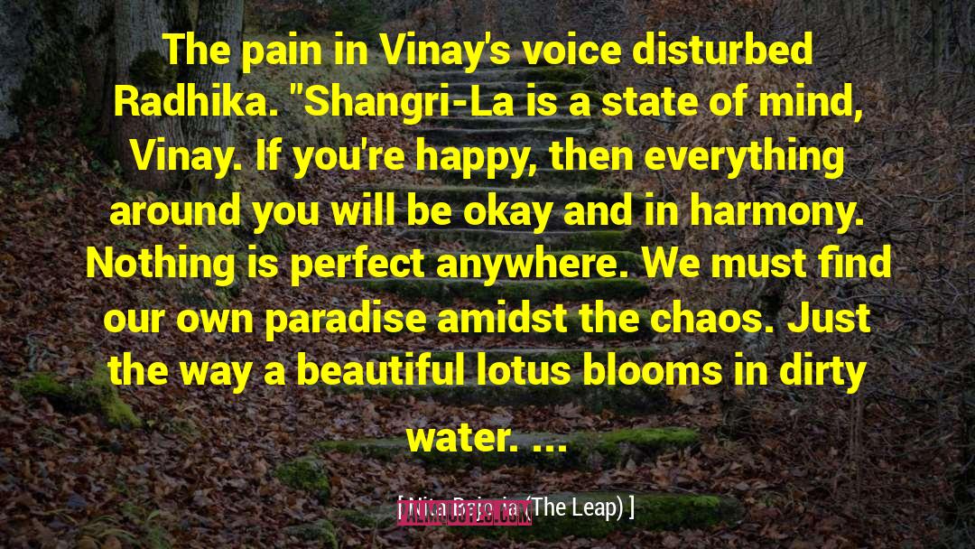 Nita Bajoria (The Leap) Quotes: The pain in Vinay's voice