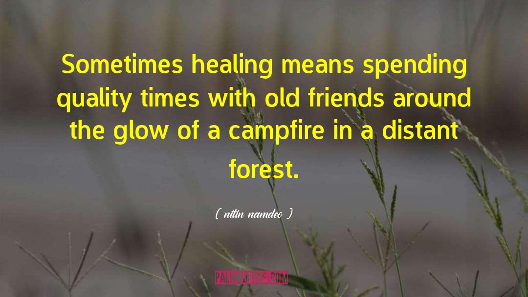 Nitin Namdeo Quotes: Sometimes healing means spending quality