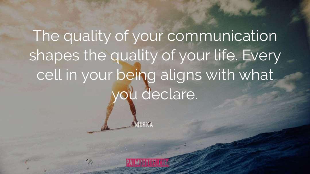 Niurka Quotes: The quality of your communication