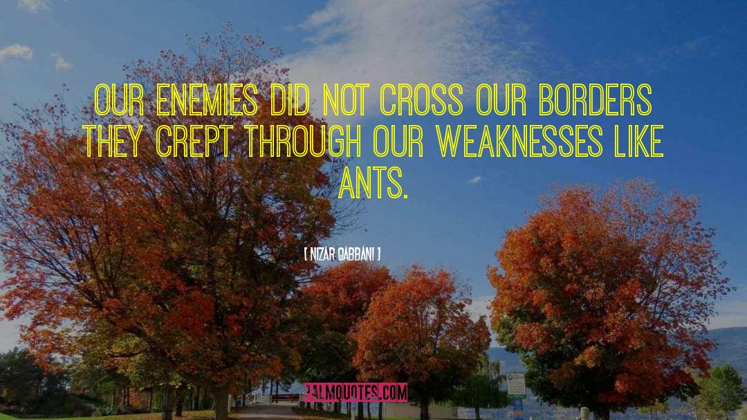 Nizar Qabbani Quotes: Our enemies did not cross