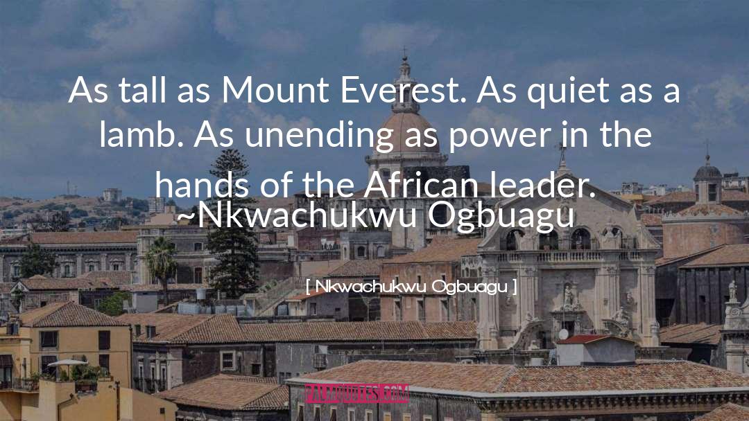 Nkwachukwu Ogbuagu Quotes: As tall as Mount Everest.