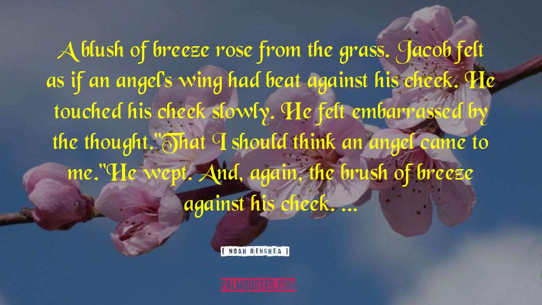 Noah Benshea Quotes: A blush of breeze rose