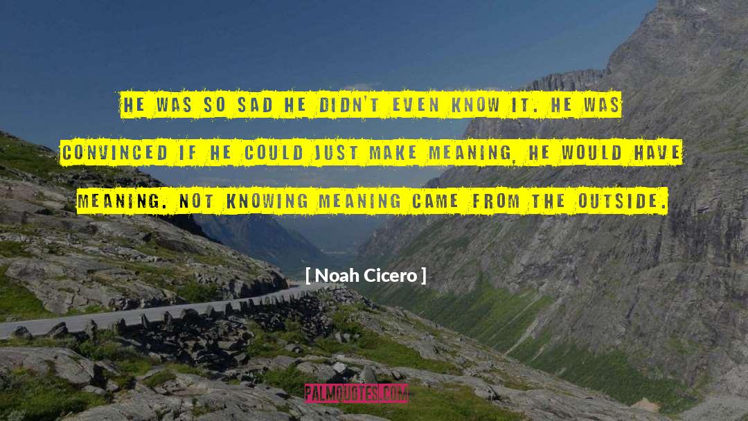 Noah Cicero Quotes: He was so sad he