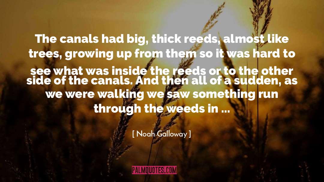 Noah Galloway Quotes: The canals had big, thick