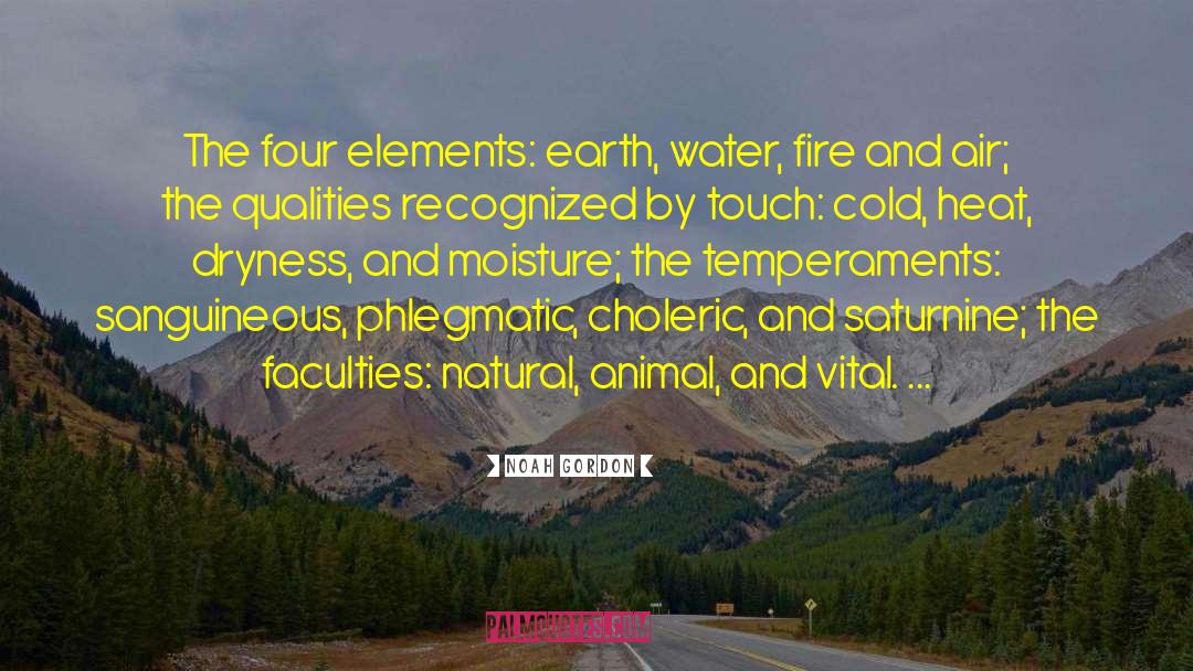 Noah Gordon Quotes: The four elements: earth, water,