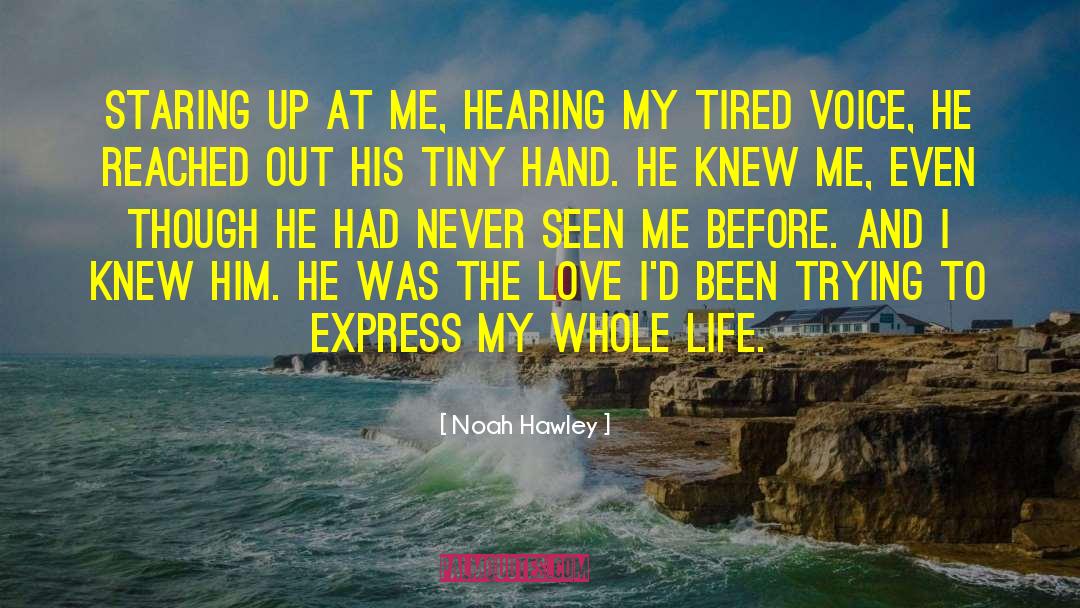 Noah Hawley Quotes: Staring up at me, hearing
