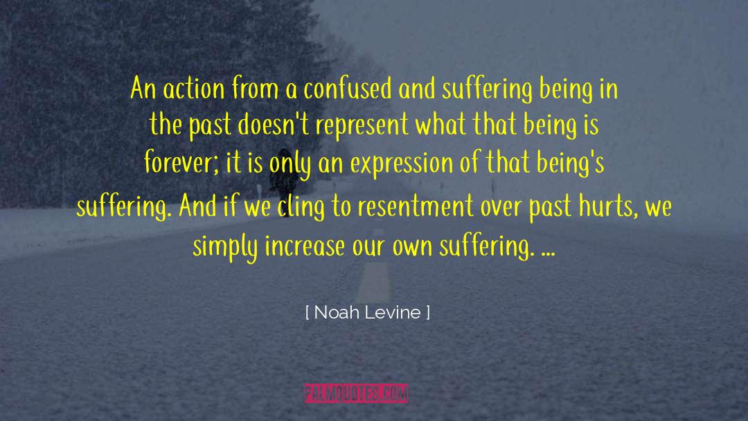 Noah Levine Quotes: An action from a confused