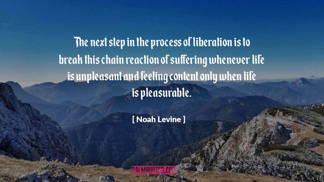 Noah Levine Quotes: The next step in the