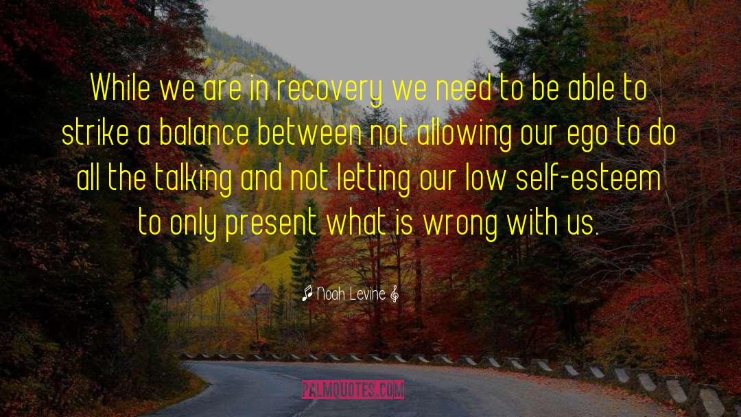 Noah Levine Quotes: While we are in recovery