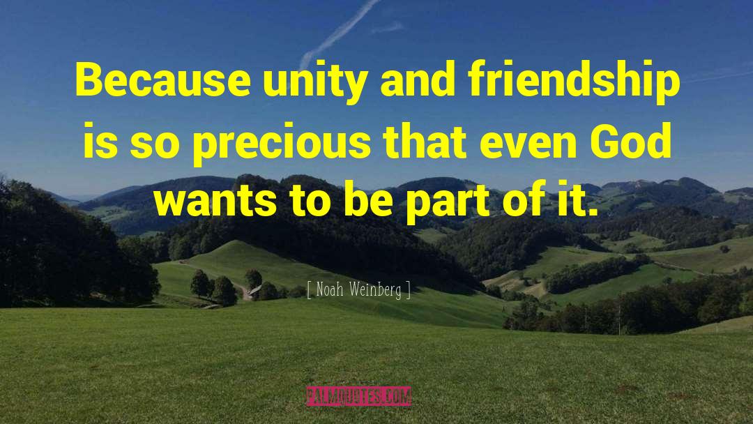 Noah Weinberg Quotes: Because unity and friendship is