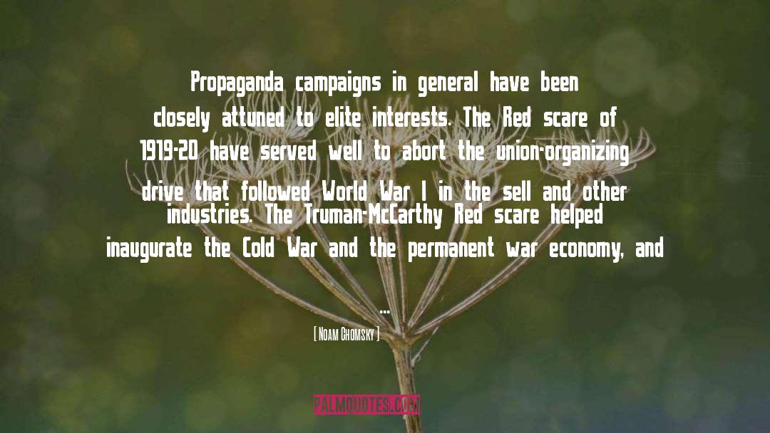 Noam Chomsky Quotes: Propaganda campaigns in general have
