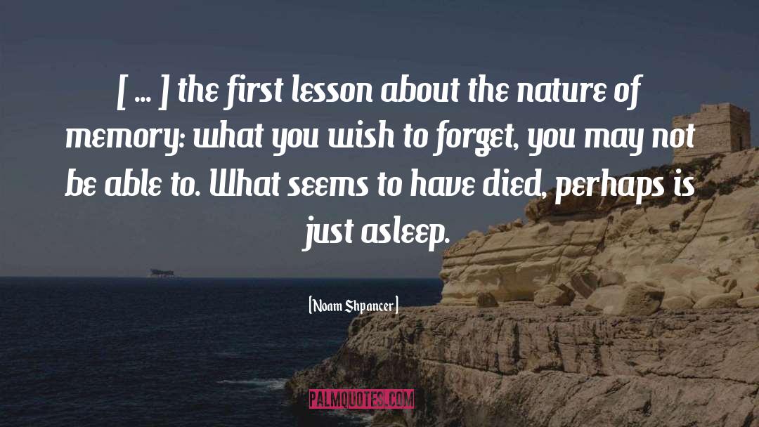 Noam Shpancer Quotes: [ ... ] the first